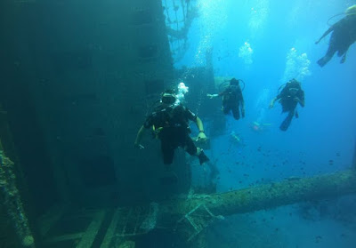 Aqaba, Mar Rojo. Submarinismo en el Naufragio del Cedro Orgullo.