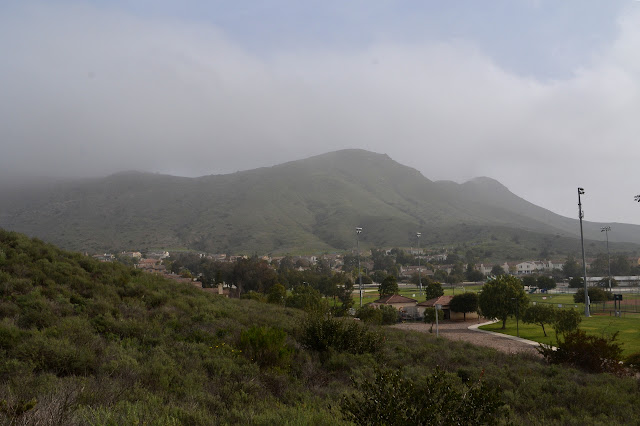 hills and a bit of park