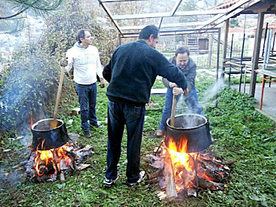 Γουρουνοχαρά, Λάγκα