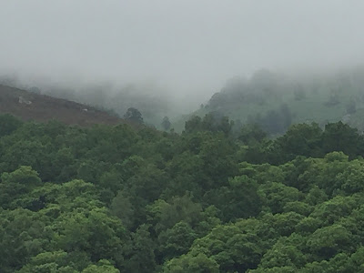 Spain, Marronda forest and the Eo River   by E.V.Pita (2015)  http://evpita.blogspot.com/2015/06/spain-marronda-forest-and-eo-river.html   Fraga de Marronda - río Eo (Baleira, Lugo)  por E.V.Pita (2015)