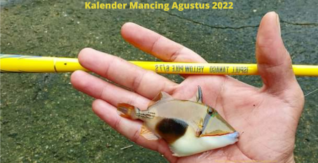 Tanggalan Mancing Januari 2021 Tanggalan Mancing Tanggalan Mancing 2021 Tanggalan Mancing Oktober Tanggalan Mancing Desember Kalender Mancing Laut 2021 Kalender Mancing Laut 2020 Kalender Mancing Laut Kalender Mancing Laut Juni 2021 Kalender Mancing Di Laut Kalender Mancing Juni 2021 Kalender Mancing September 2021 Kalender Mancing Juli 2021 Kalender Mancing Oktober 2021 Kalender Mancing Januari 2021 Kalender Mancing 2021 Kalender Mancing Bulan Juli 2021 Kalender Mancing Bulan Juni 2021 Kalender Mancing 2020 Kalender Mancing Oktober 2020 Kalender Mancing Juli 2020 Kalender Mancing Oktober Kalender Mancing September 2021 Lengkap Jadwal Mancing Hari Ini Jadwal Mancing Kelender Mancing