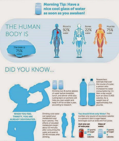 Image result for dehydration is making you fat and sick