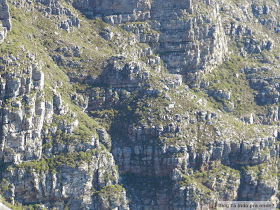 Table Mountain