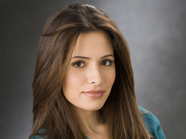 Sarah Shahi pictures