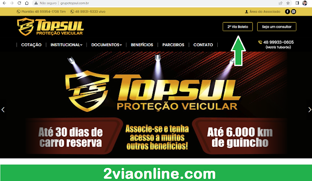 2Via Grupo TopSul Proteção Veicular