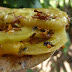 Tomates verdes a la calabresa...