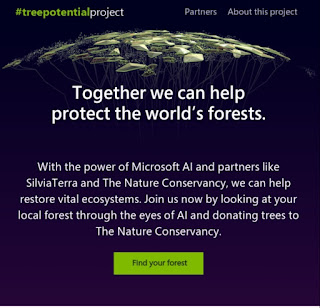 Microsoft Tree Potential Program