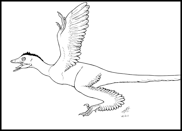 #microraptor #dinosaur #raptor #feathered #birds #dinosaurs #evolution #paleoart #paleontology #prehistoric #animals #creatures #china