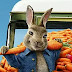 Peter Rabbit Animation Movie In Hindi Dubbed Free Download