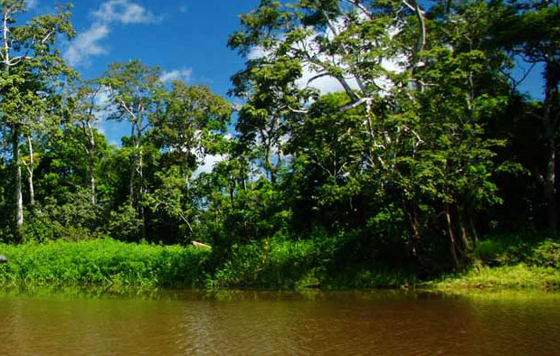 3 Contoh Keragaman Ekosistem Perairan di Indonesia