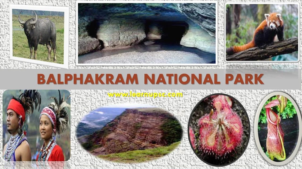 Balphakram National Park