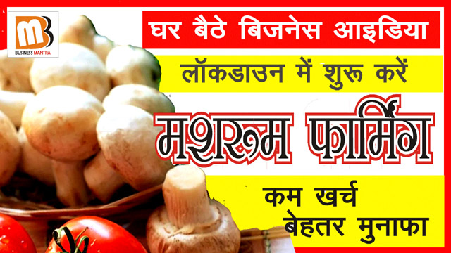 Ghar Baithe Business Idea | Mushroom Farming Hindi