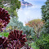 Beautiful Belvedere: A Mediterranean Garden in Marin County