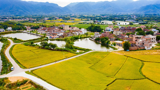 The beautiful countryside of Sihui City