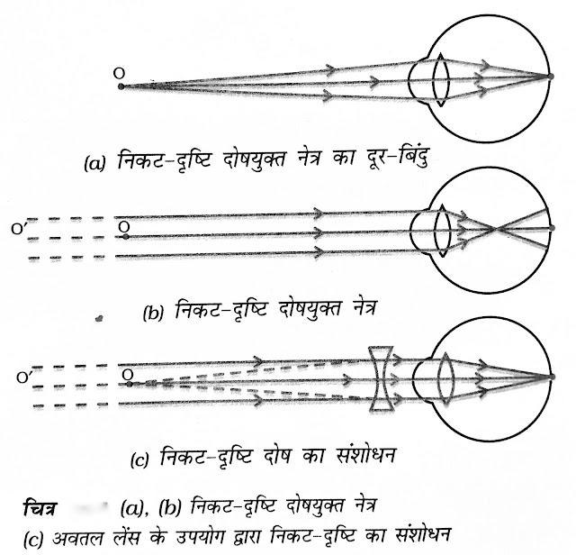 चित्र