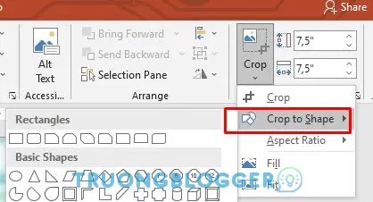 Cách cắt ảnh thành hình tròn trong PowerPoint đơn giản