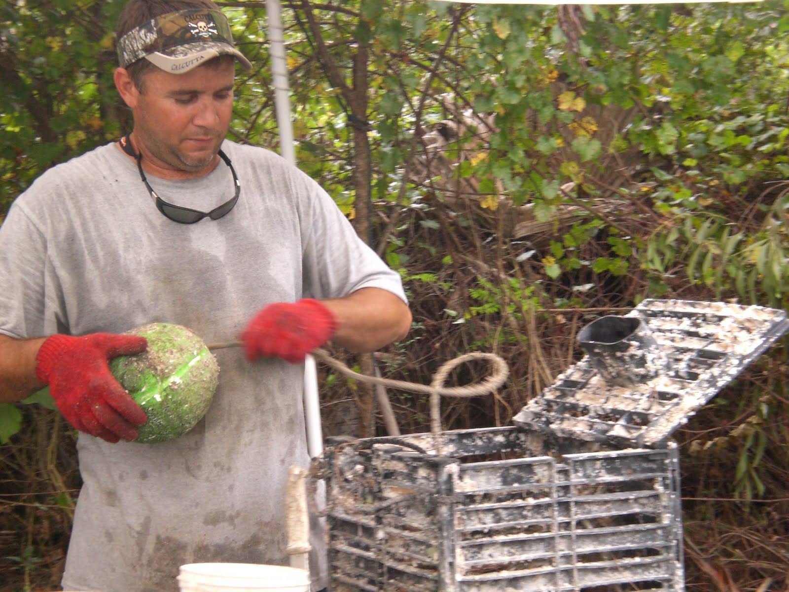 Bailey's crab lot Naples, Fl.