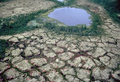 in Hudson Bay Lowlands,