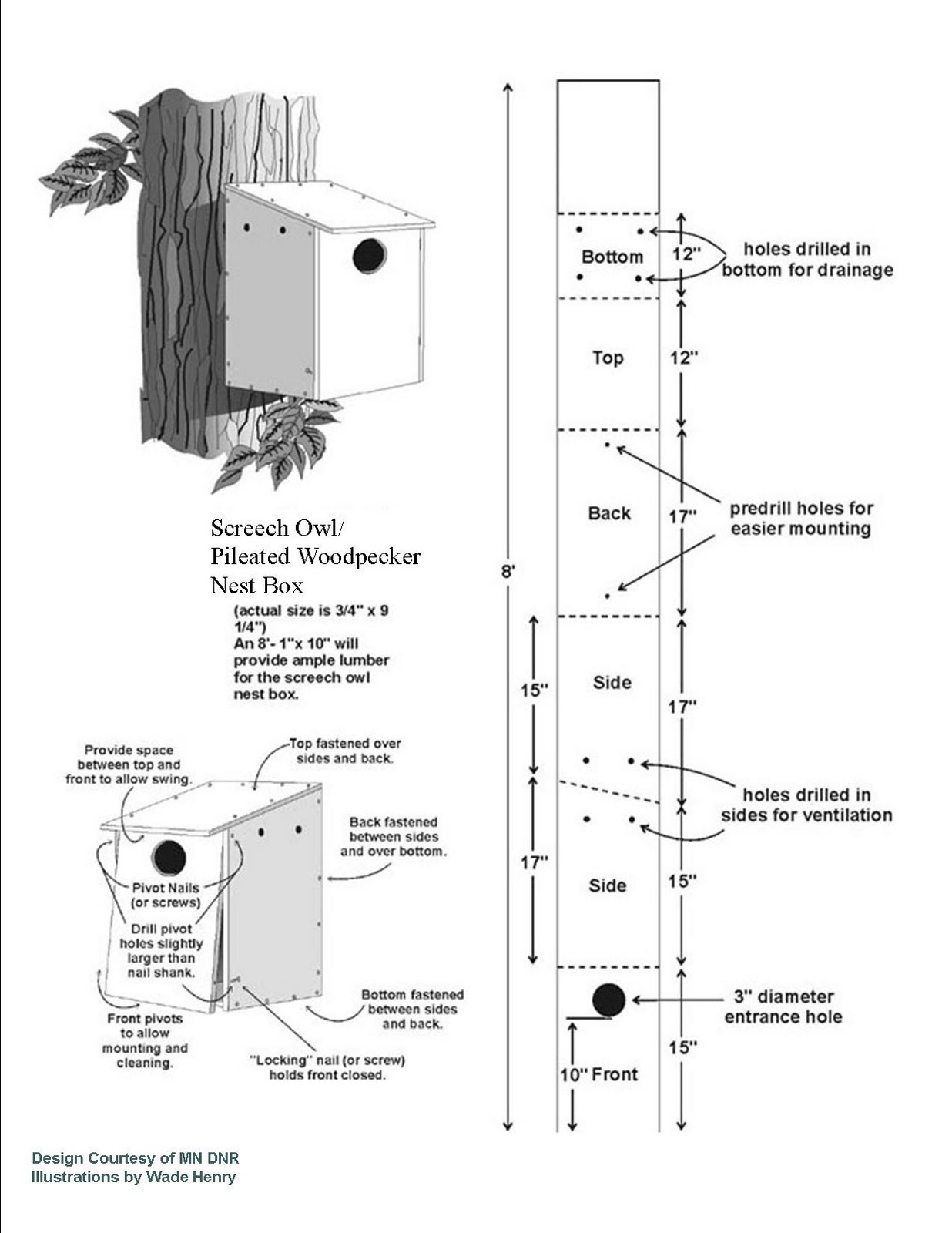 Barn Owl Nest Box Plans