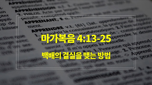 마가복음 4장 13절-25절, 백배의 결실을 맺는 방법 - 매일성경 큐티 새벽설교요약