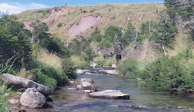 Fly fishing a small stream with Streamside Adventures