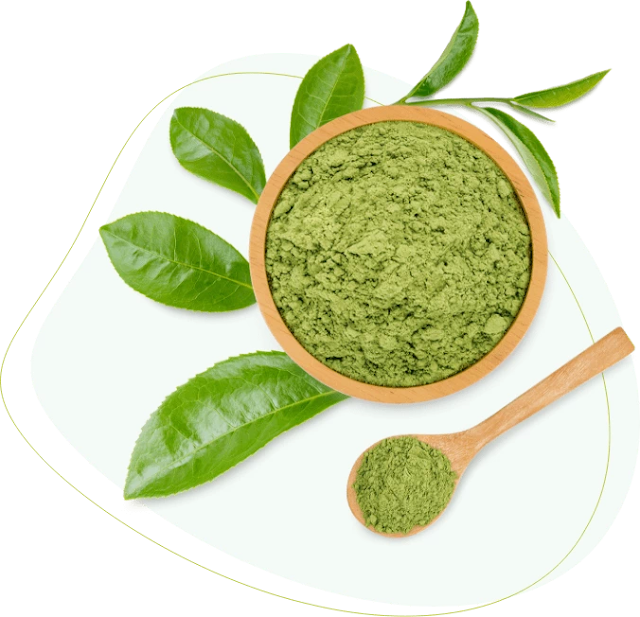 Matcha Extreme