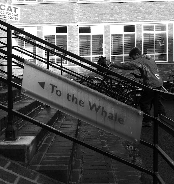 To the Whale. photograph by Tim Irving