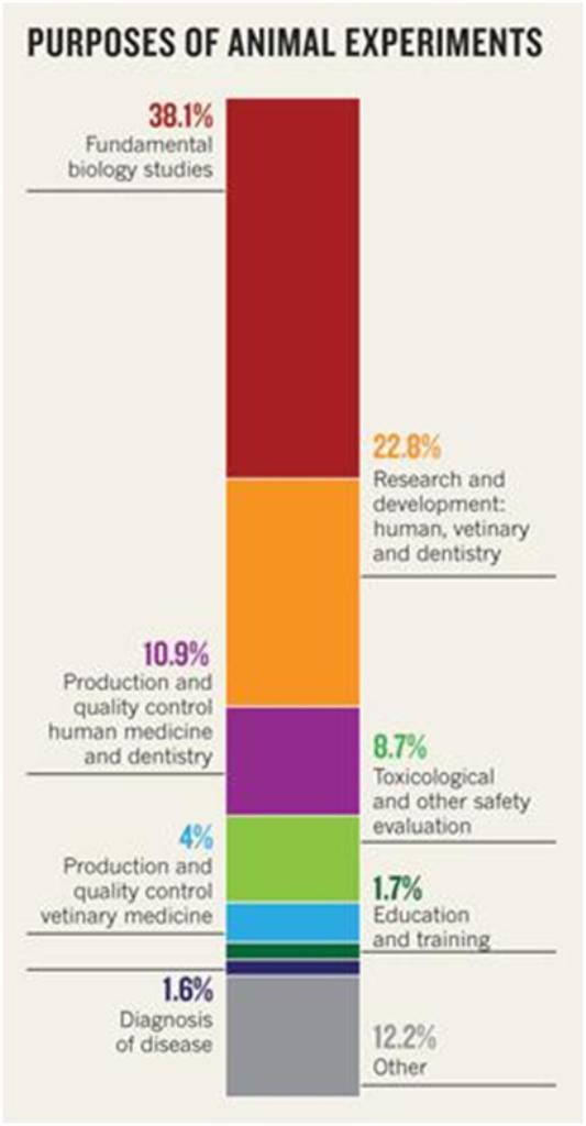 animal testing facts and figures. Animal+testing+facts