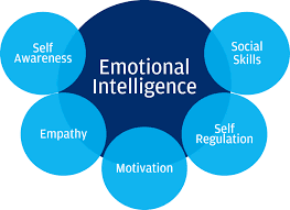 EFFECT OF EMOTIONAL INTELLIGENCE ON LEADERSHIP STYLES IN ORGANIZATIONS