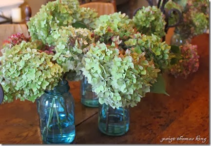 drying hydrangeas