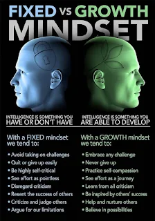 mindset | growth mindset | fixed mindset | millionaire mindset