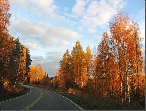 autumn road