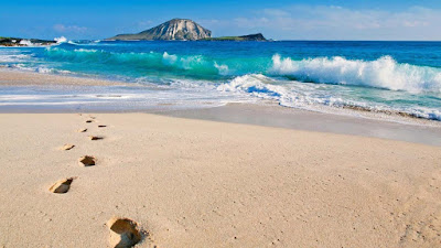 human-steps-sign-on-the-beach