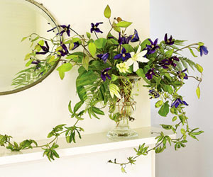 white clematis mixed with