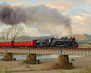 Vintage Murder begins as Roderick Alleyn makes a train journey across New Zealand