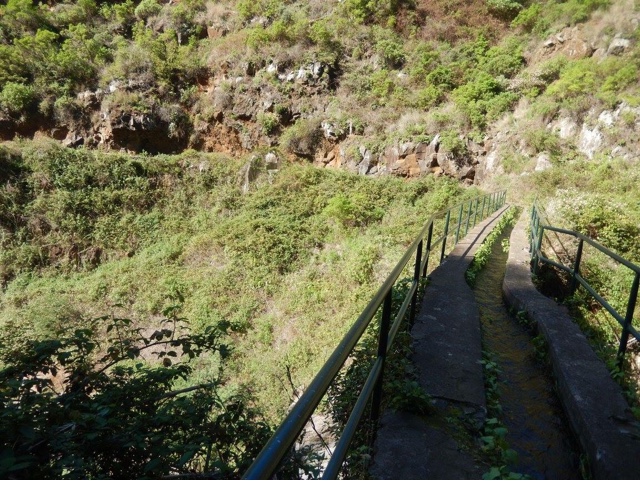 Top 10 things to do in Madeira - Lavada Walk