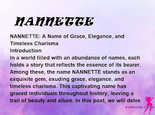 meaning of the name "NANNETTE"