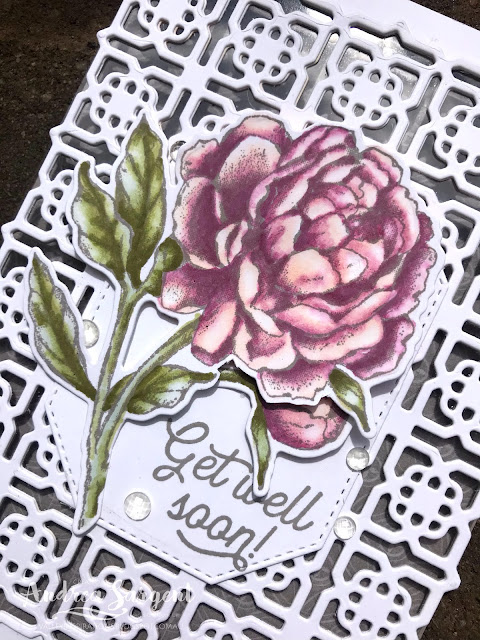 Gray Granite Prized Peony Stampin Up cards, Andrea Sargent, Independent Stampin' Up! Demonstrator, Valley Inspirations, Adelaide Foothills, South Australia, Australia