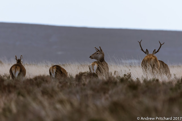 The group decides it is time to move on, but noboddy but one of the concerned pair is looking too disturbed.