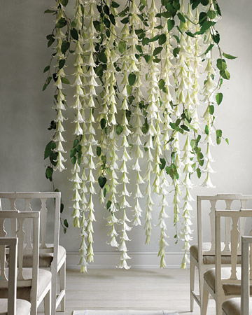 Easter Lily Backdrop courtesy of 