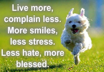 Live more, Complain less, More smiles, Less stress, Less hate, more blessed.