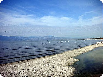 coast-line-4