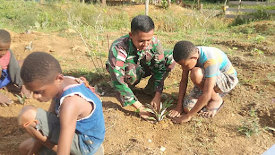  Ajarkan Bercocok Tanam, Satgas Yonif 310/KK Ajak Anak Papua Menanam Buah Nanas