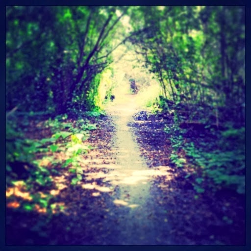 "...along unfamiliar paths I will guide them..." Isaiah 42:16