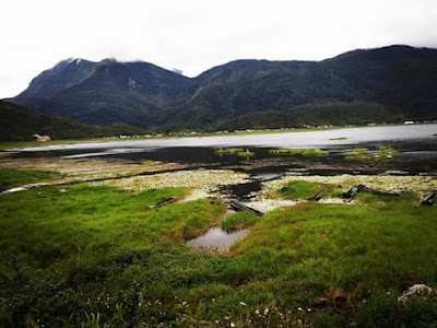 Setan dari Gunung Deiyai