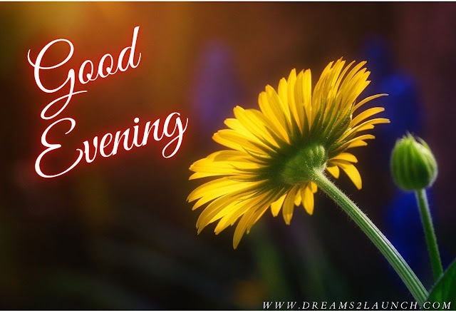 good evening messages images