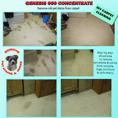 Best carpet Cleaning Solution