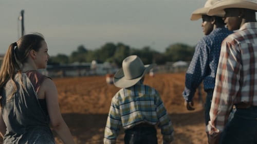 Bull 2019 stream german