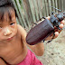 Bugs the Size of Your Hand – The Titan Beetle