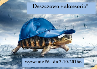 http://hubka38.blogspot.com/2016/09/wyzwanie-6-d.html